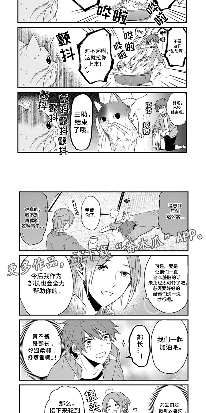 三花猫猫部漫画,第12章：洗澡5图