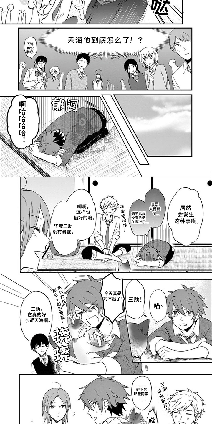 三花猫的祭司手册漫画,第5章：事情解决1图