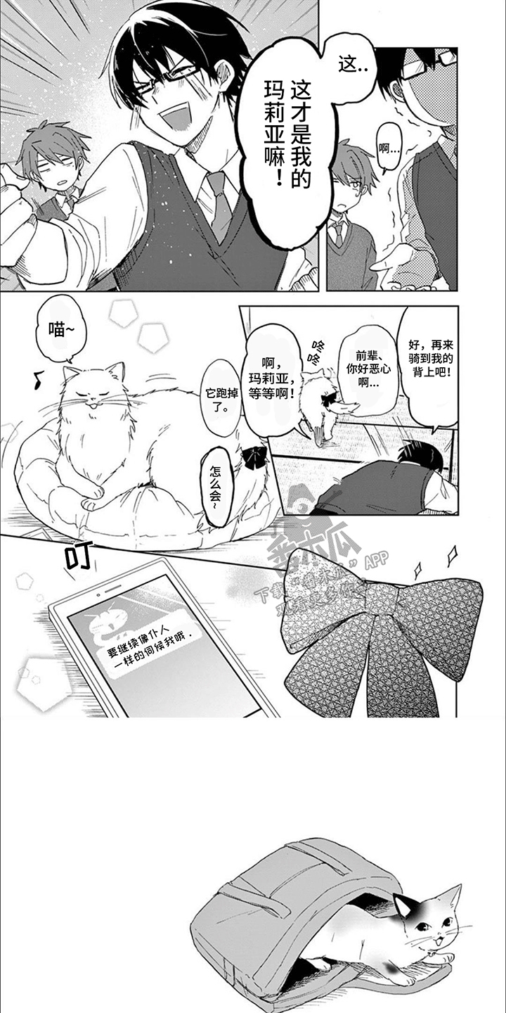 三花猫猫部漫画,第8章：猫猫特工1图