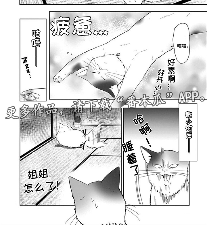 三花猫的祭司手册漫画,第8章：猫猫特工2图