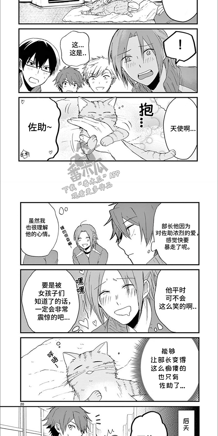 三花猫追梨花猫视频漫画,第13章：误会1图