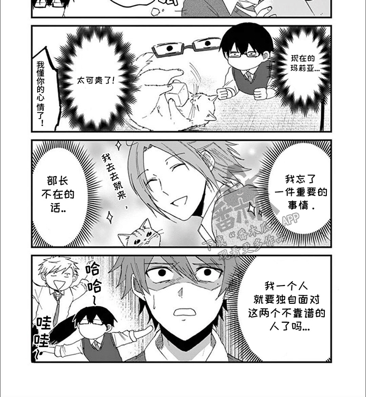 三花猫猫部漫画,第16章：木天蓼4图