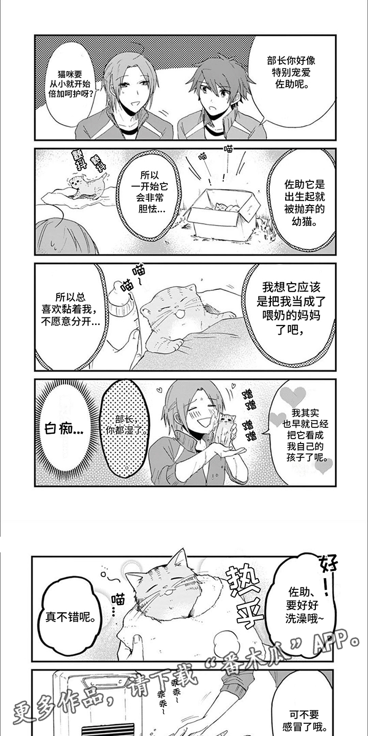 三花猫猫部漫画,第13章：误会5图