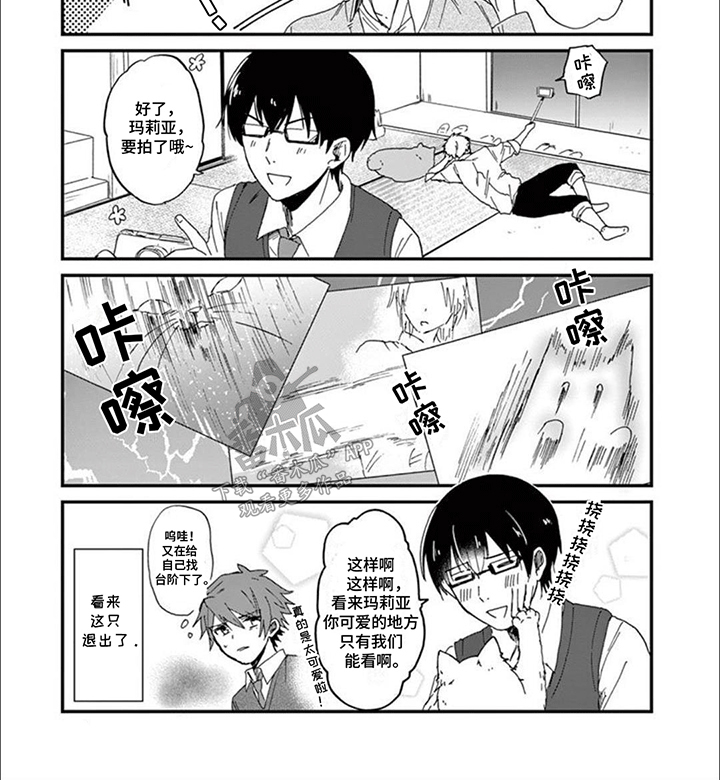 三花猫猫部漫画,第2章：给猫猫拍照片4图