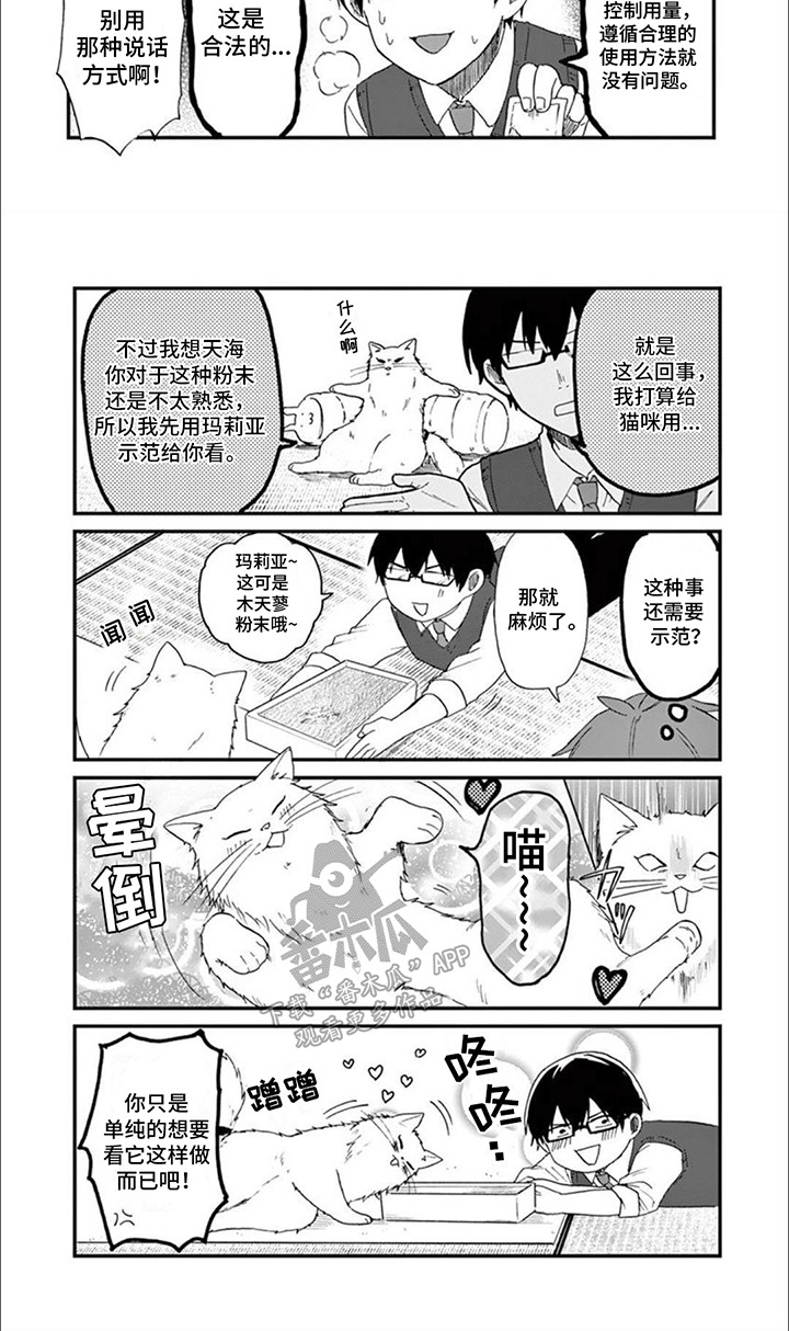 三花猫追梨花猫视频漫画,第15章：捣乱2图