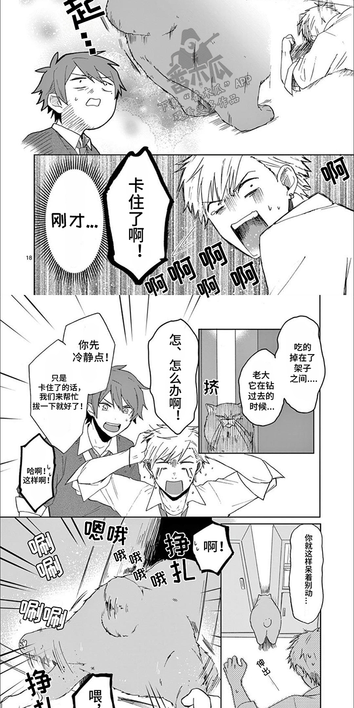 三花猫猫部漫画,第11章：老大卡住了2图