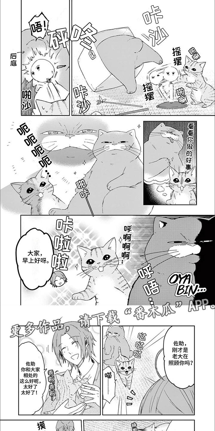 三花猫猫部漫画,第14章：老大带娃4图
