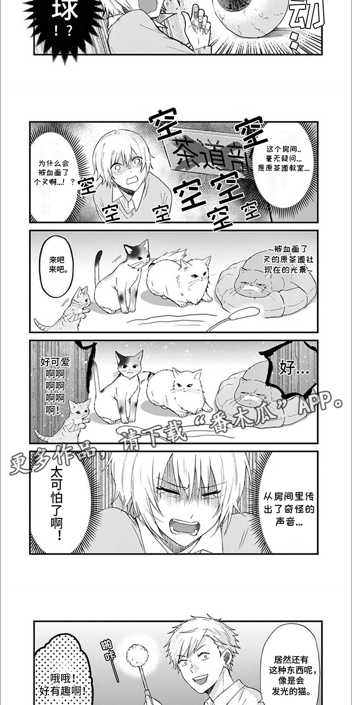三花猫追梨花猫视频漫画,第18章：灵异事件2图