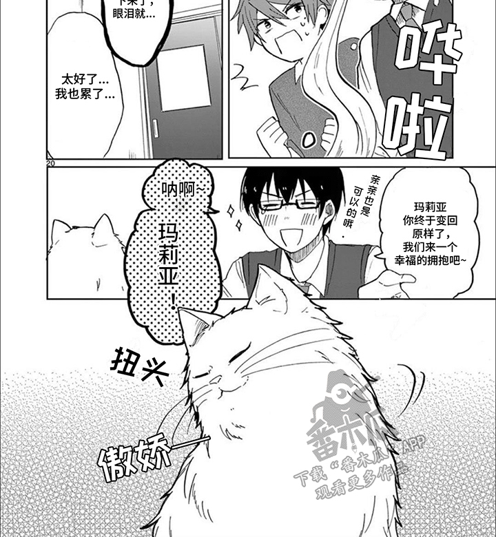 三花猫追梨花猫视频漫画,第7章：猫语3图