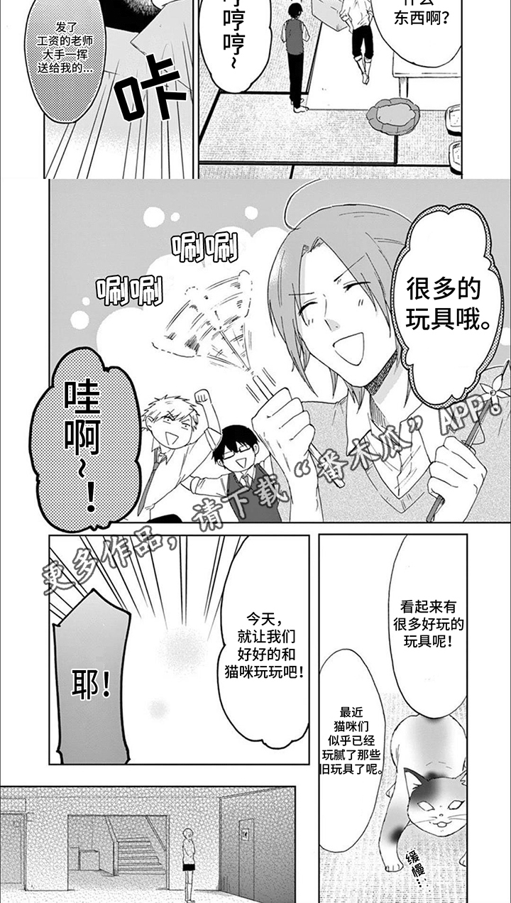 三花猫追梨花猫视频漫画,第17章：猫猫社危机2图