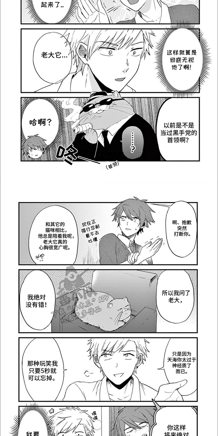 三花猫猫部漫画,第10章：猫咪导师2图