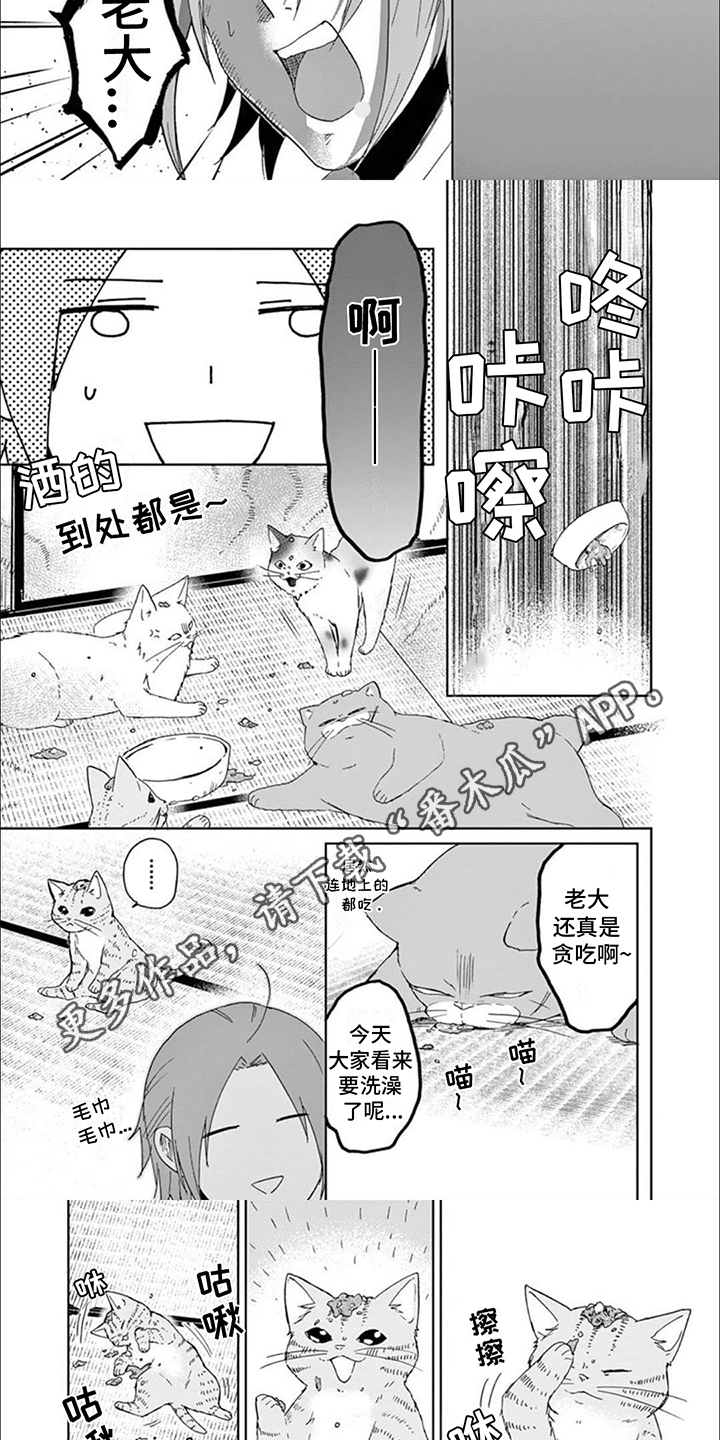 三花猫的祭司手册漫画,第14章：老大带娃1图