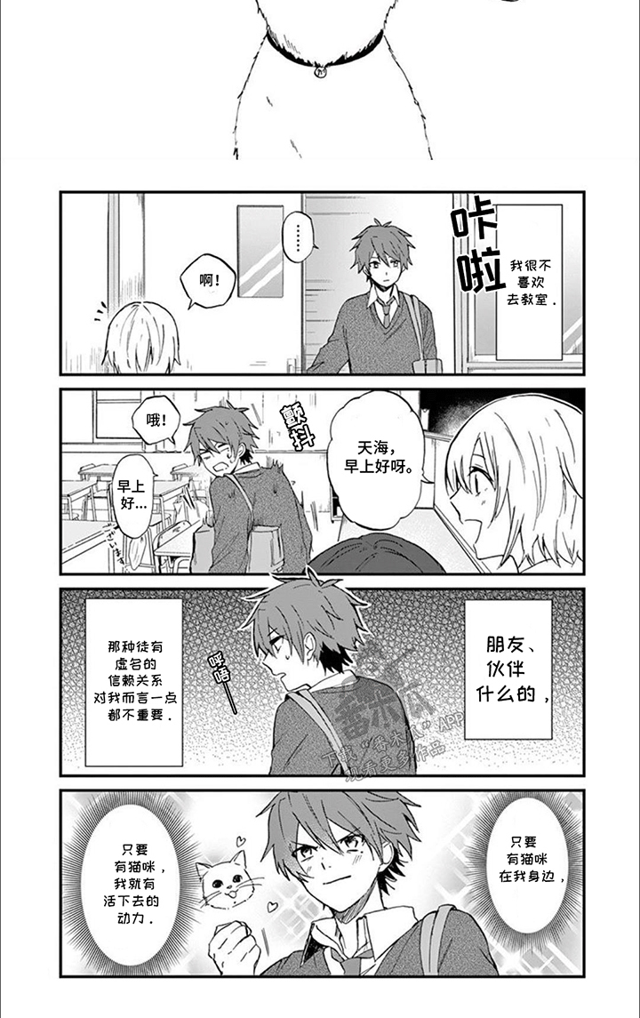 三花猫追梨花猫视频漫画,第3章：最美猫咪2图