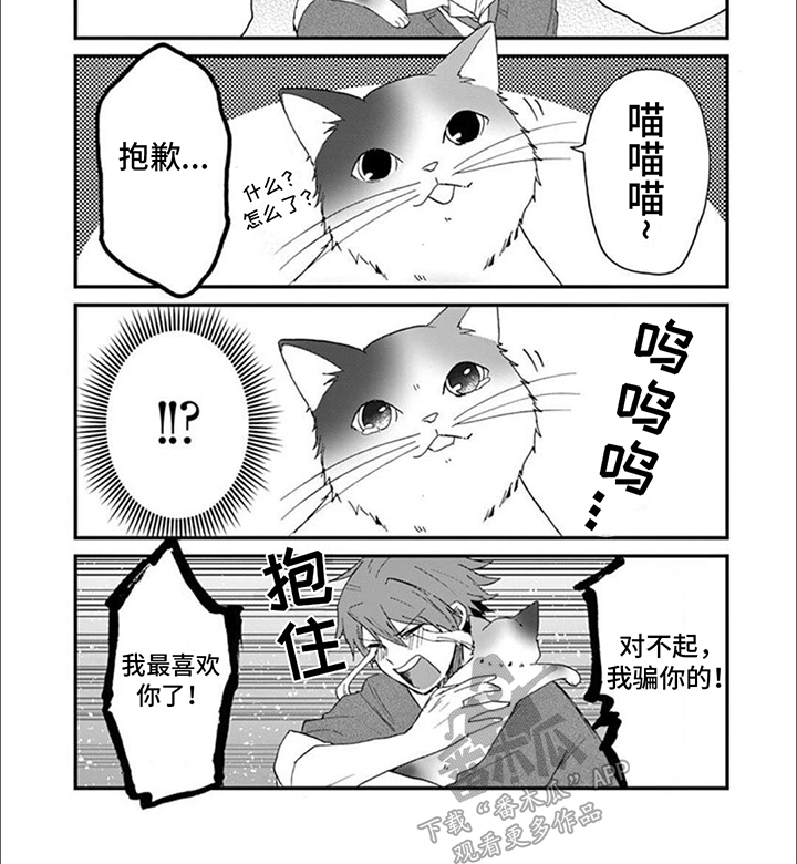 三花猫追梨花猫视频漫画,第16章：木天蓼3图