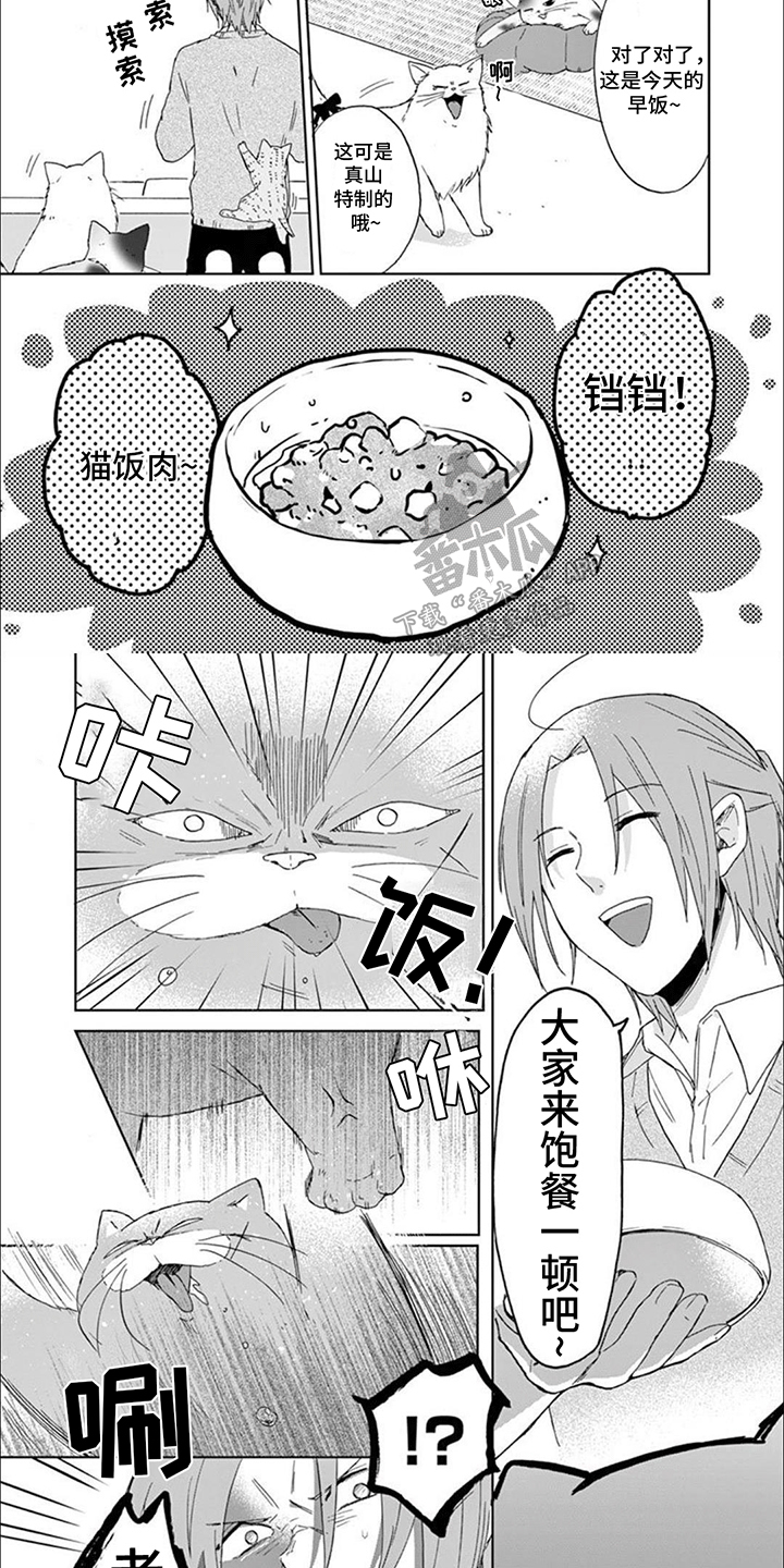 三花猫猫部漫画,第14章：老大带娃5图