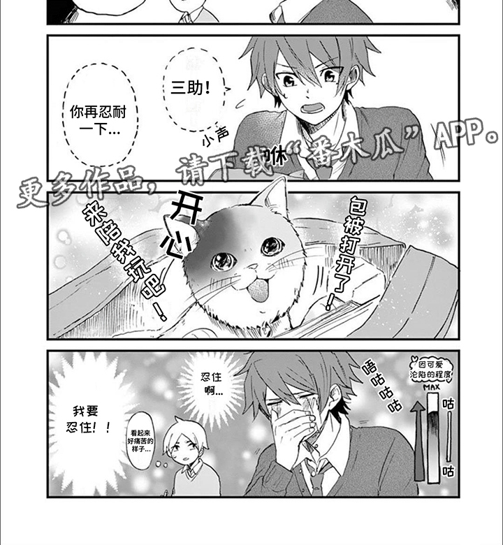 三花猫追梨花猫视频漫画,第4章：误入教室3图