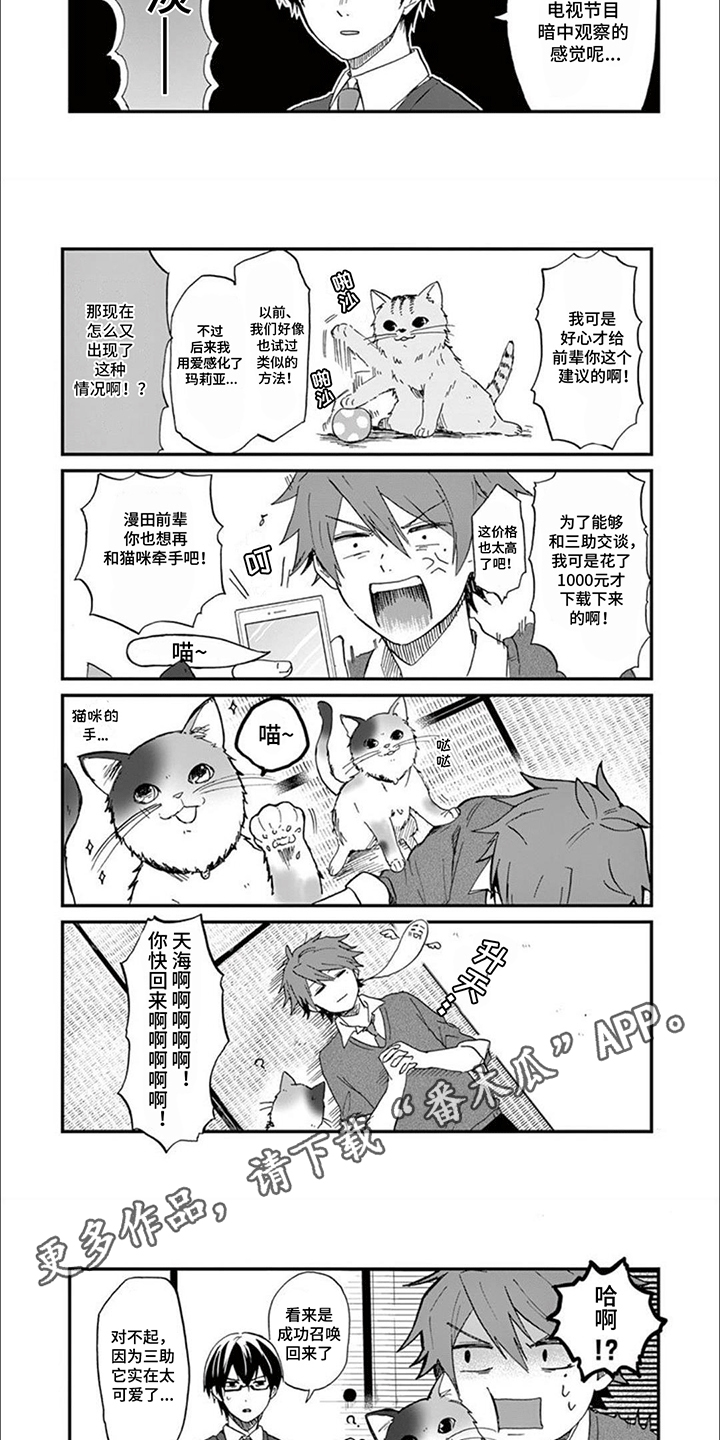 三花猫追梨花猫视频漫画,第6章：不高兴1图