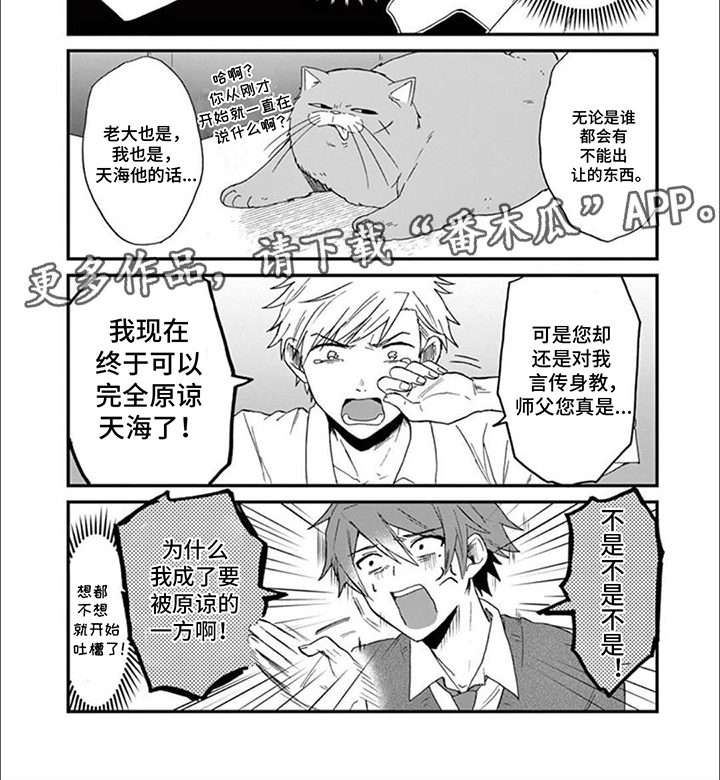 三花猫追梨花猫视频漫画,第10章：猫咪导师3图