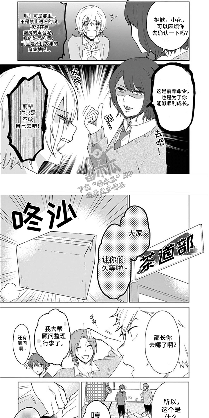 三花猫追梨花猫视频漫画,第17章：猫猫社危机1图