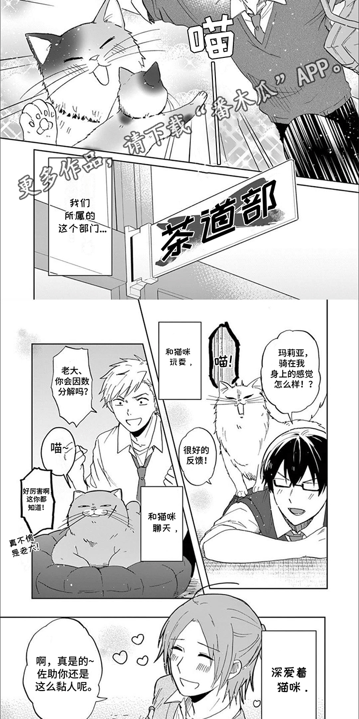 三花猫猫部漫画,第1章：我们的猫猫部2图