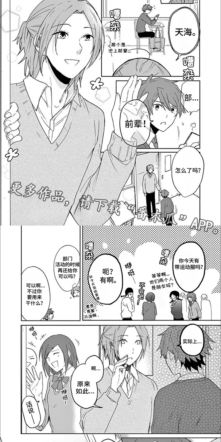 三花猫追梨花猫视频漫画,第11章：老大卡住了2图