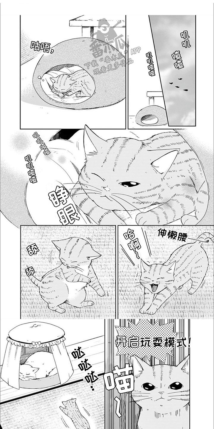三花猫猫部漫画,第14章：老大带娃1图