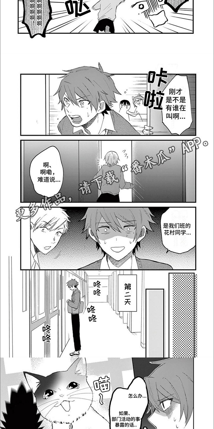 三花猫的祭司手册漫画,第19章：新的危机出现3图