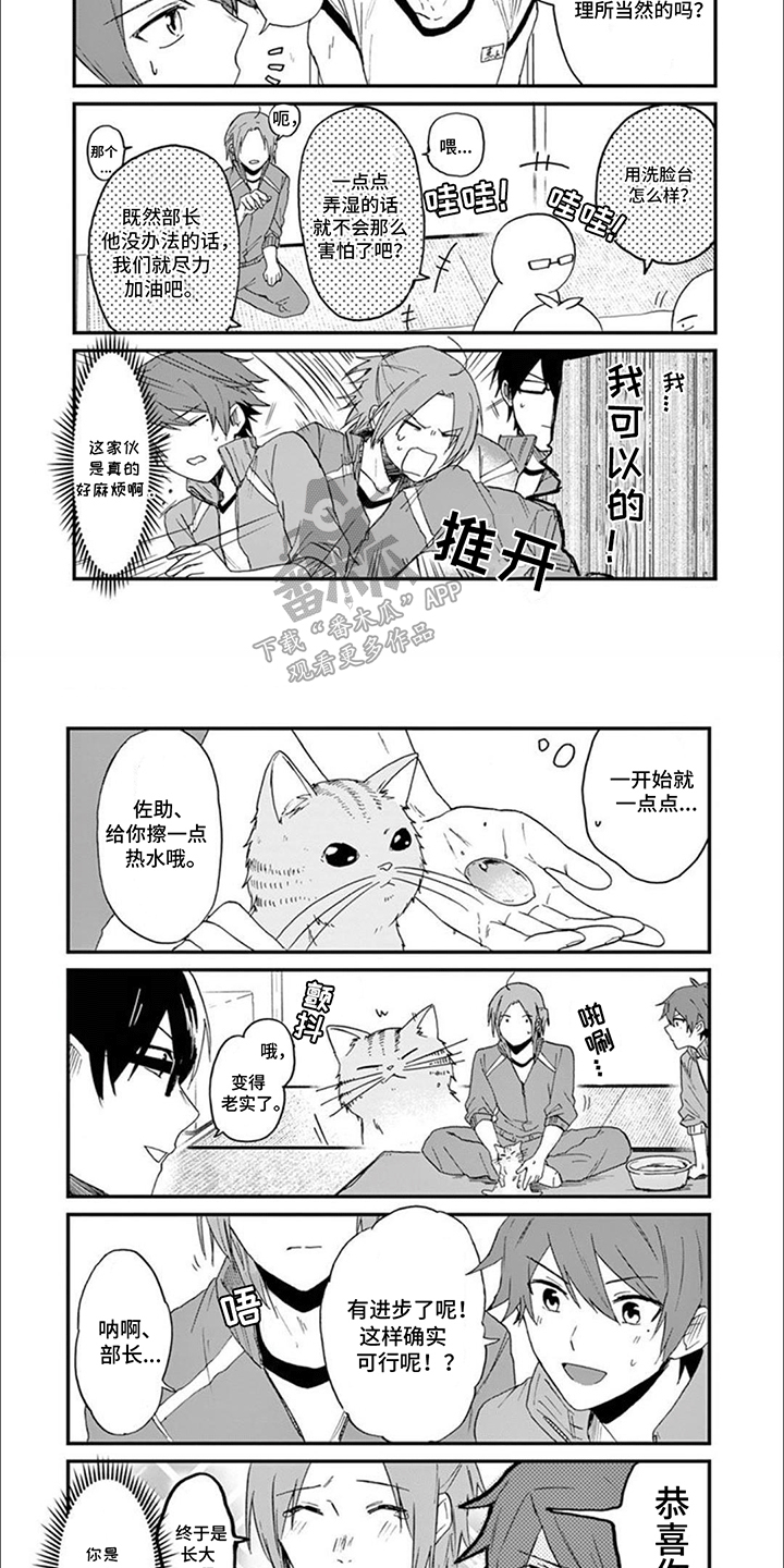 三花猫猫部漫画,第13章：误会2图