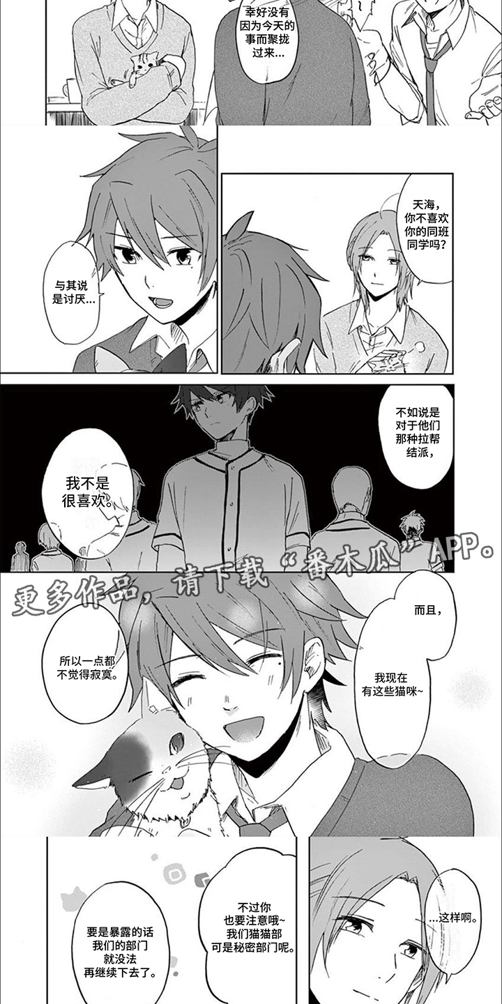 三花猫的祭司手册漫画,第5章：事情解决2图