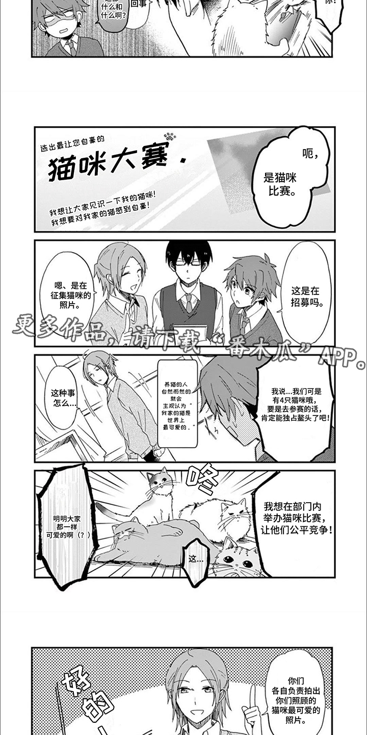 三花猫猫部漫画,第2章：给猫猫拍照片3图