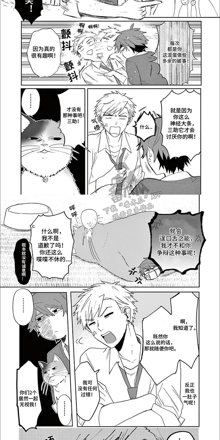 三花猫追梨花猫视频漫画,第9章：矛盾1图