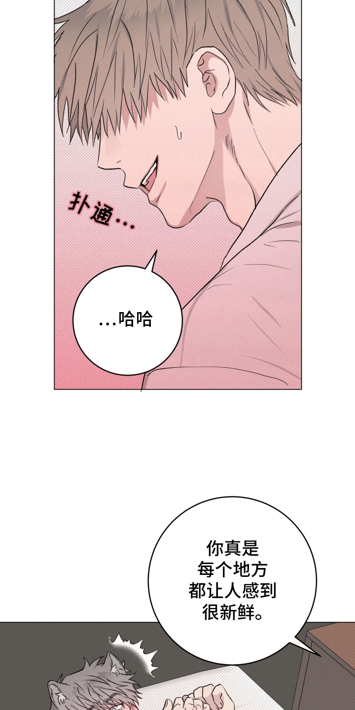 狼人驯服漫画,第6章：检查2图