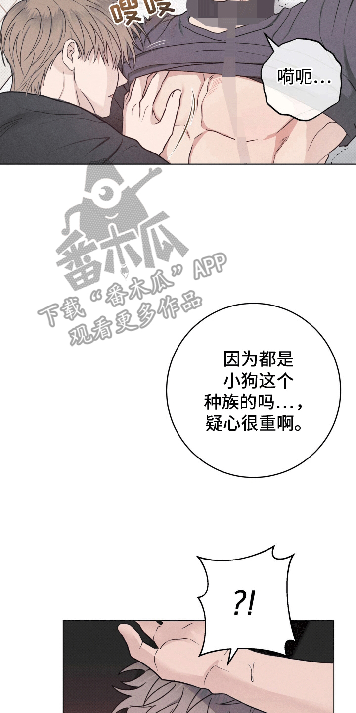 狼人杀规则漫画,第20章：他的主人（完结）2图