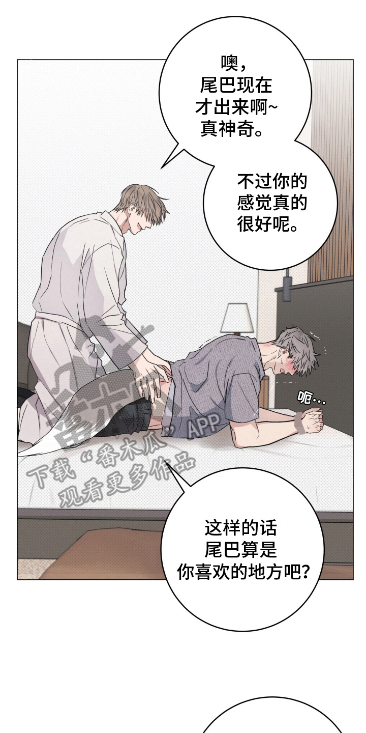 狼人驯服漫画,第6章：检查3图
