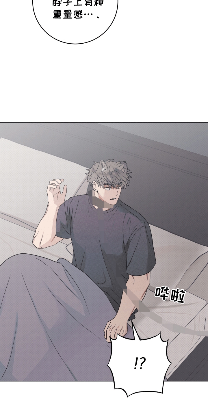 狼人驯服全集漫画,第18章：带走3图