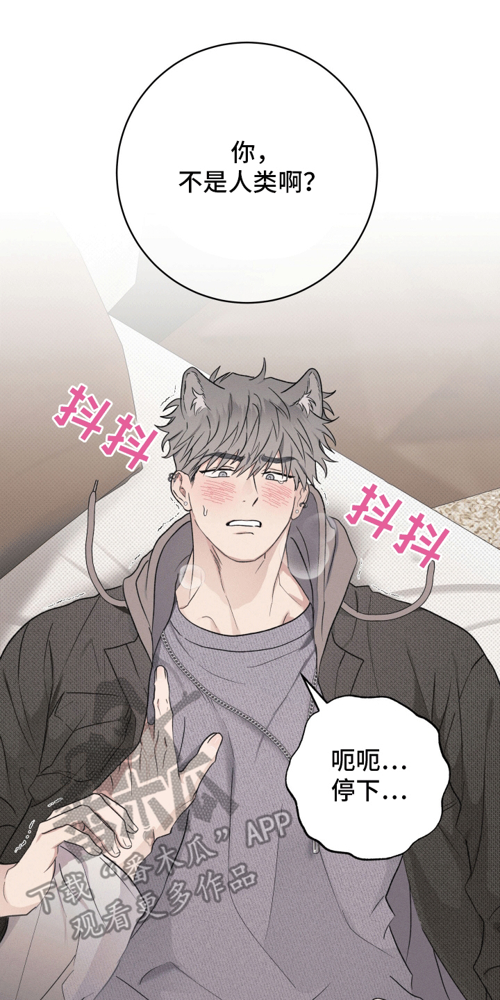 狼人计划漫画,第4章：请求3图