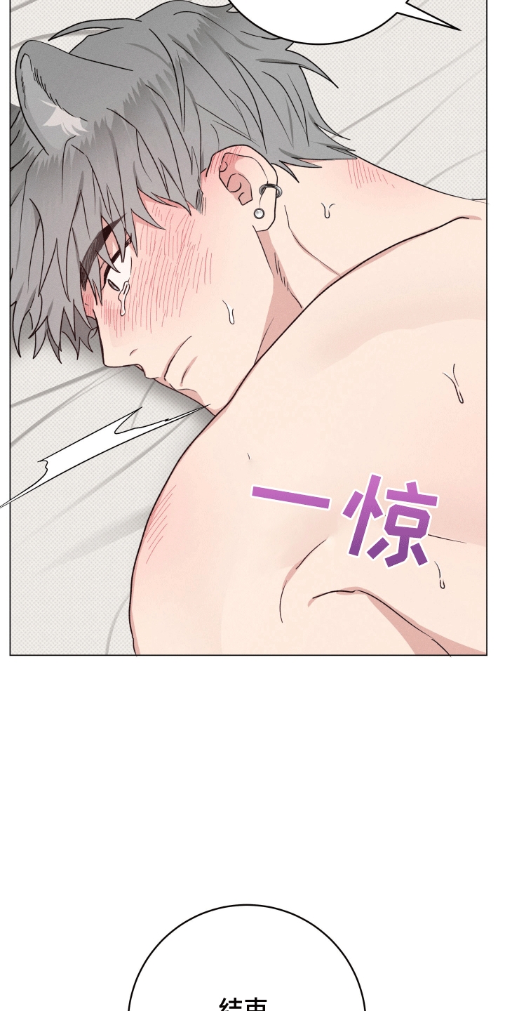 狼人驯服一耽叫什么漫画,第8章：无法承受2图