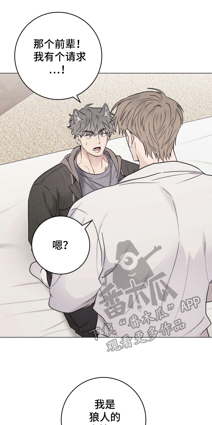 狼人驯服一耽叫什么漫画,第4章：请求2图