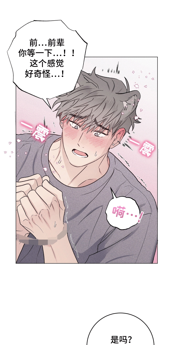 狼人驯服漫画,第6章：检查4图