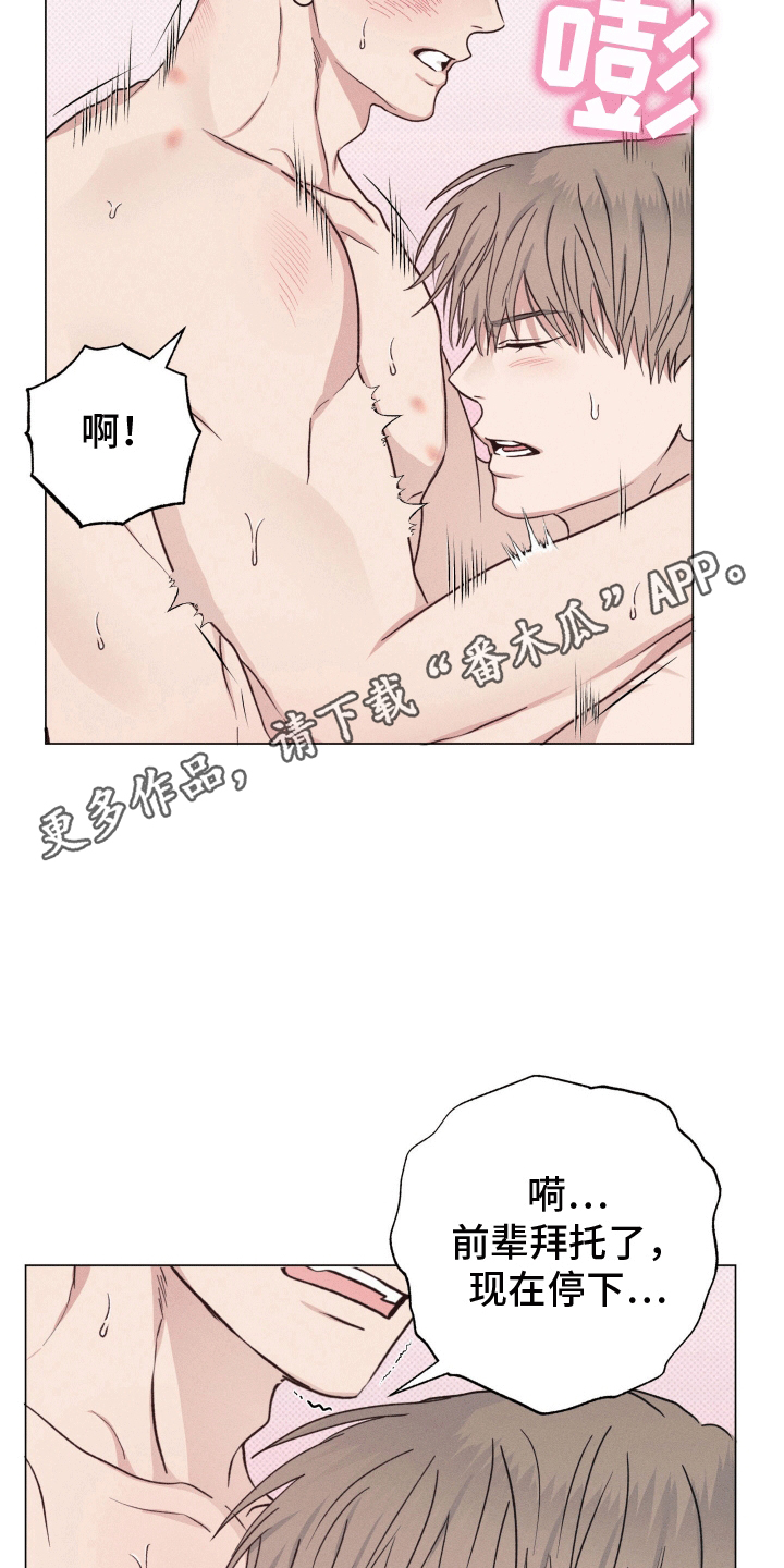 狼人驯服一耽叫什么漫画,第8章：无法承受2图