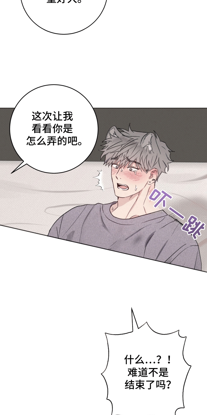 狼人驯服漫画,第7章：代价2图