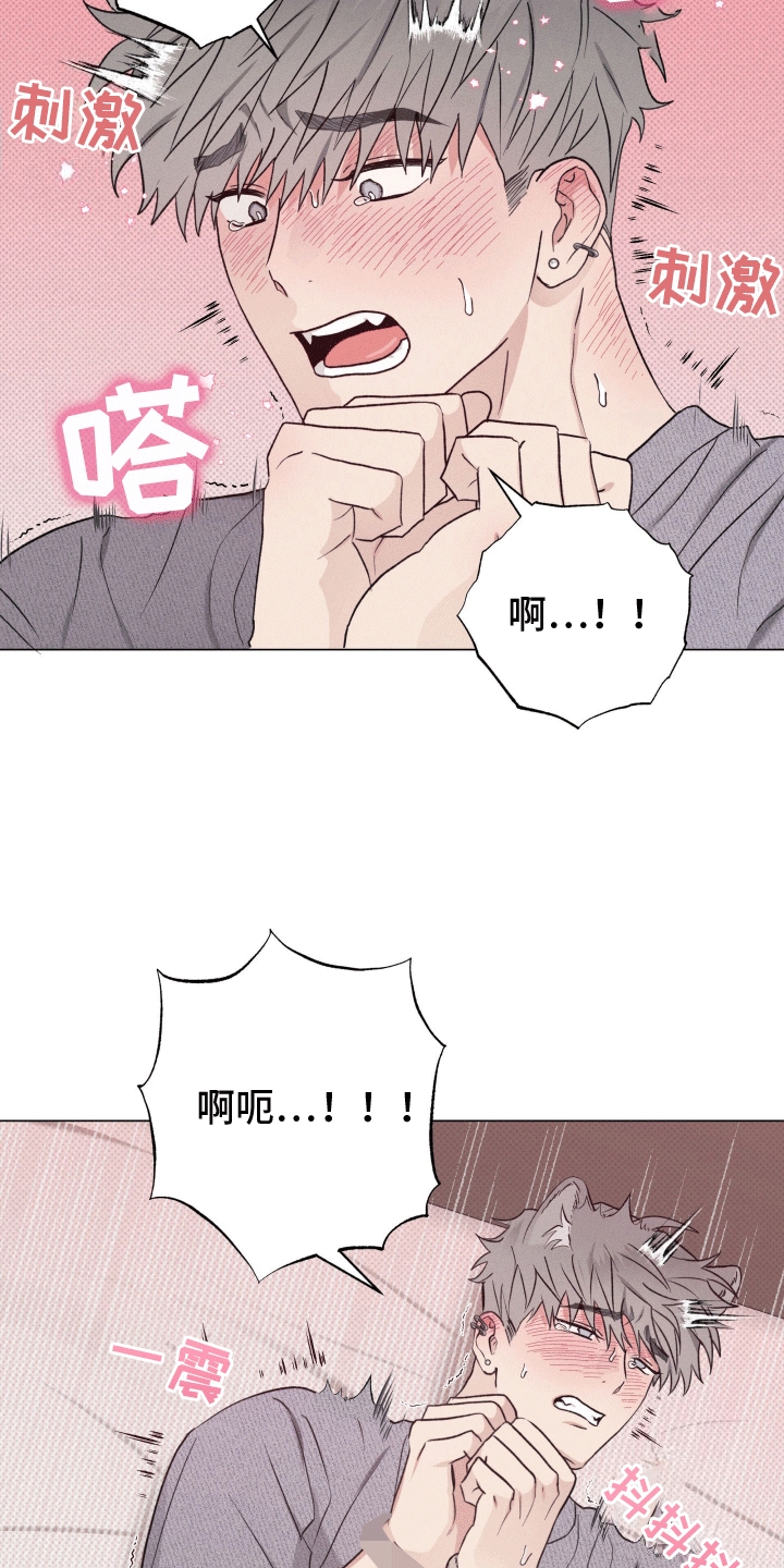 狼人驯服漫画,第6章：检查2图
