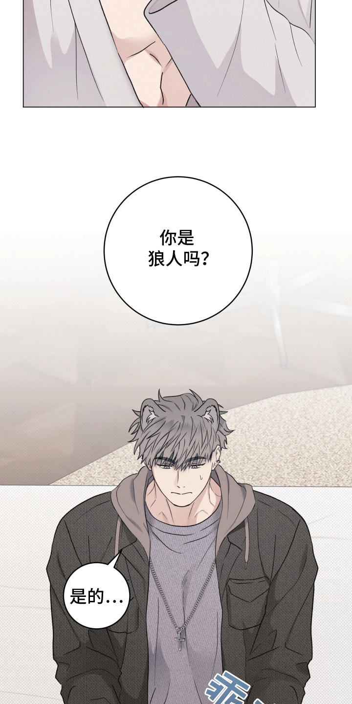 狼人计划漫画,第4章：请求5图