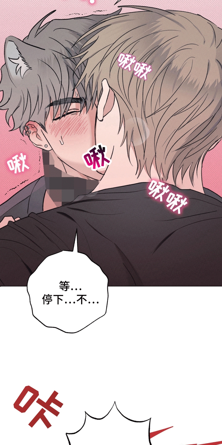 狼人驯服免费漫画漫画,第19章：惩罚4图