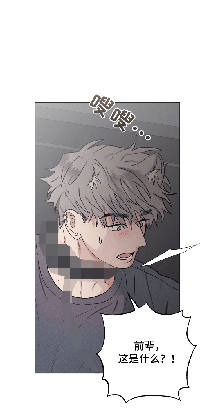 狼人驯服全集漫画,第18章：带走4图