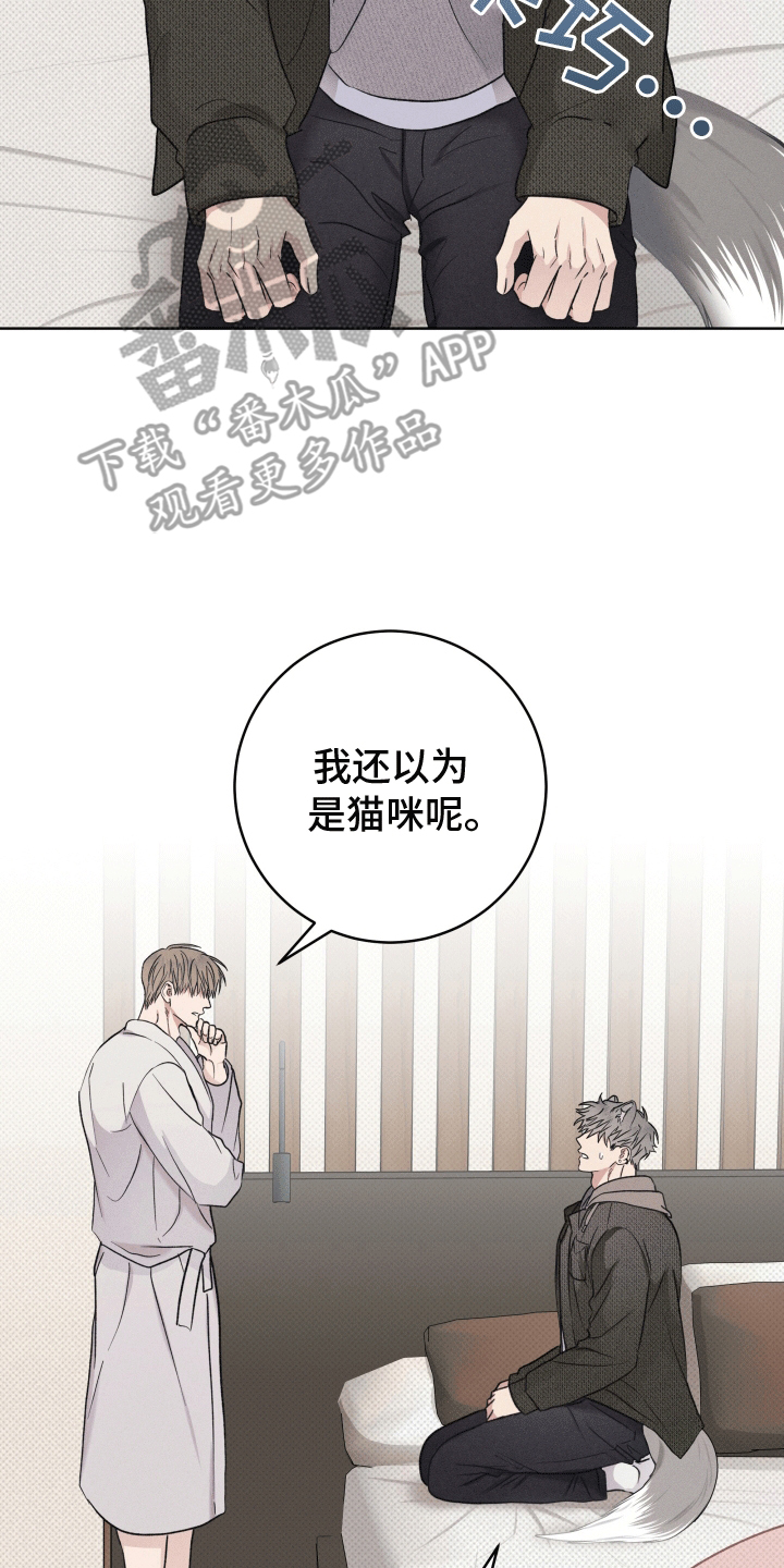 狼人驯服免费漫画漫画,第4章：请求1图