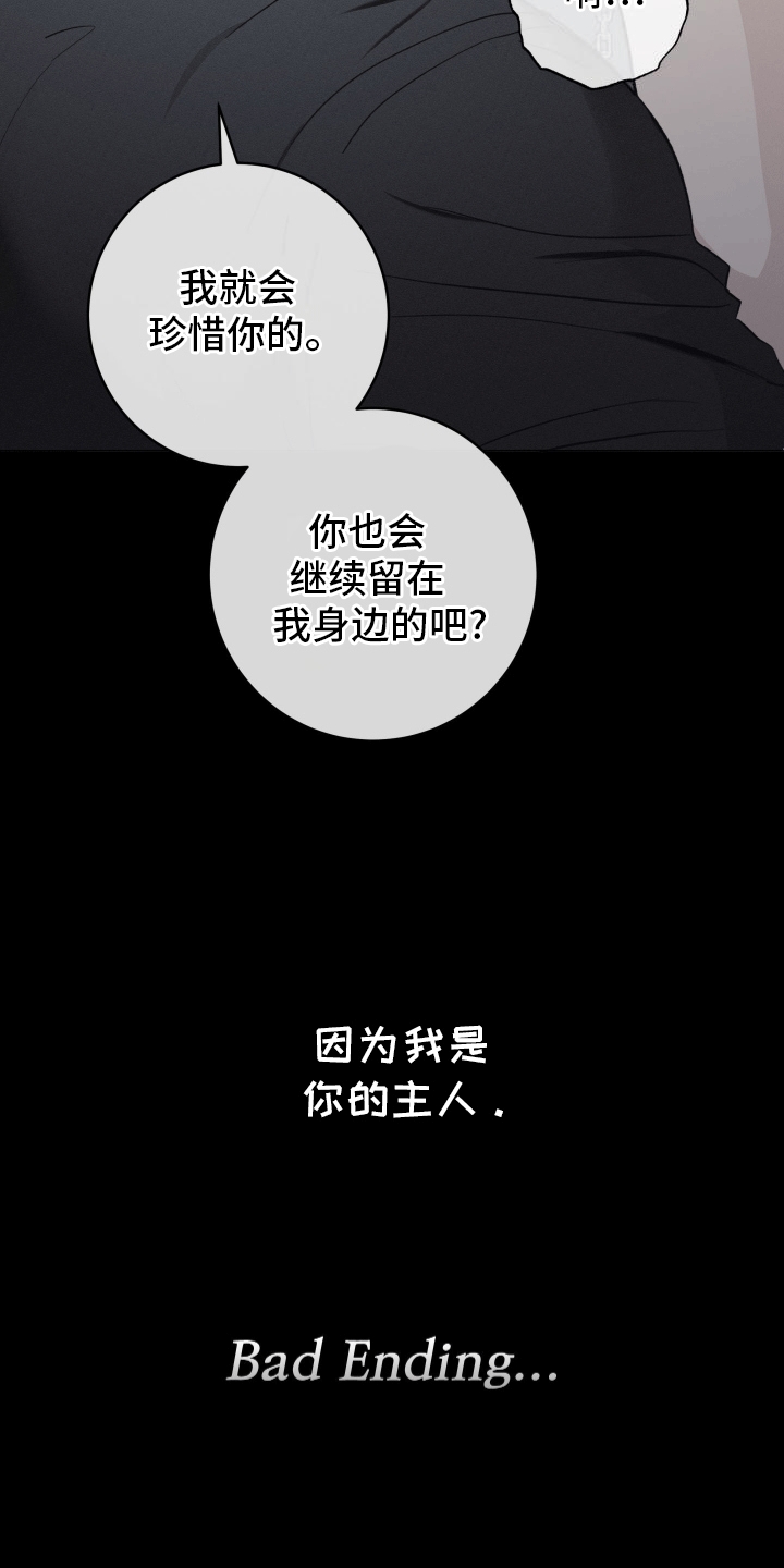 狼人驯服免费漫画漫画,第20章：他的主人（完结）2图