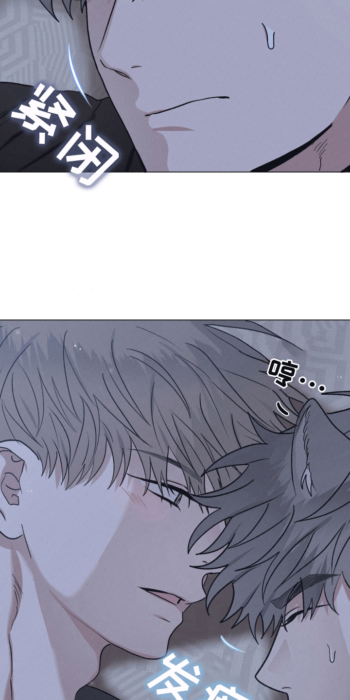 狼人驯服免费漫画漫画,第15章：真暖和3图