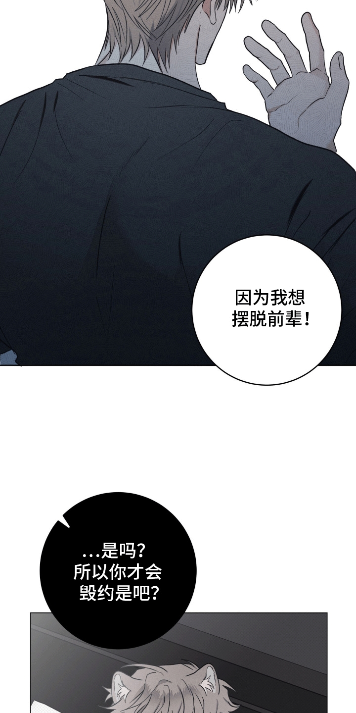 狼人驯服漫画,第19章：惩罚5图