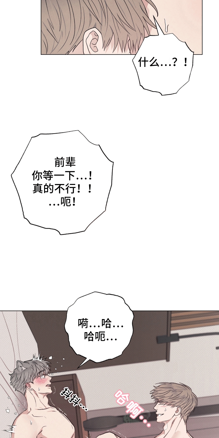 狼人驯服解说漫画,第7章：代价5图